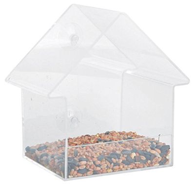 Gevallen fruit ACRYL RAAMVOER HUIS