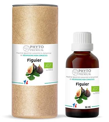 Gemmothérapie FIGUIER- Ficus carica (BIO)