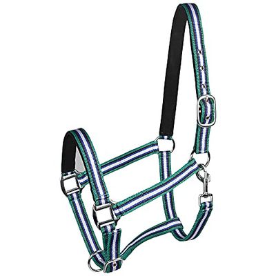 PFIFF 101517 Licol en Plastique, Licol de Saule, Licol d'étable, Bleu-Blanc-Vert, Poney
