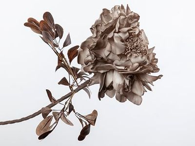 FLOR MARRON FOAM