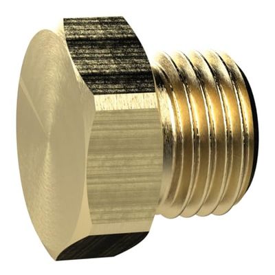 RIEGLER 136092-MS290SK114 śruba zamykająca, sześciokąt zewnętrzny, G 1 1/4, SW 50, MS, 1 szt