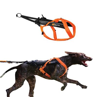 Non-stop dogwear Freemotion Harnais 5.0 - Harnais pour Chien pour Tous Les Sports - Taille 8
