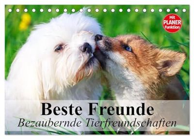 Beste Freunde. Bezaubernde Tierfreundschaften (Tischkalender 2025 DIN A5 quer), CALVENDO Monatskalender: Besondere Tierfreundschaften in wunderschönen Bildern