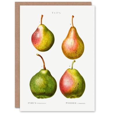 Artery8 Pierre-Joseph Redouté Art Card Pear Fruit Vintage Illustration