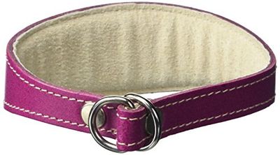 BBD Pet Products Whippet Slip Collar, One Size, 3/4 x 12 tot 14 inch, Boysenberry