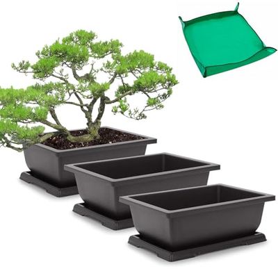 GROWNEER 3 Packs 11 Inch Bonsai Training Pots with Humidity Trays and 15 Pcs Plant Labels, Plastic Bonsai Tree Plants Planter Growing Pot for Garden Yard Office Living Room Balcony
