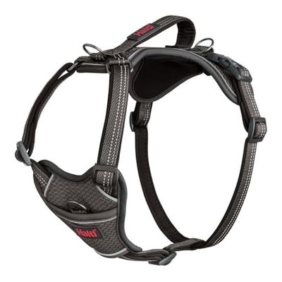 Harnais pour Chien HALTI Anatomy avec poignée - Offre à Votre Chien Une liberté de Mouvement pour Une Promenade Confortable. 3 Points d’Attache, Réglable et Réfléchissante (Taille L, Gris)
