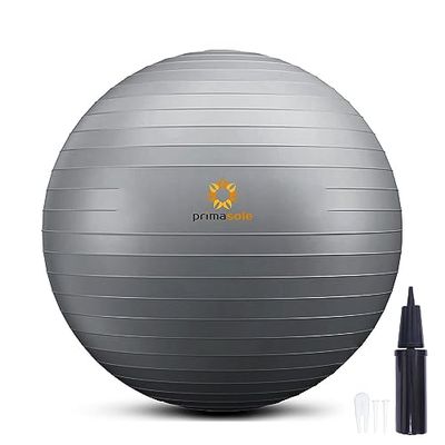 primasole Oefenbal voor evenwichtsstabiliteit Fitness Workout Yoga Pilates thuis kantoor en sportschool met inflatorpomp. (17,7 inch zilvergrijs) PSS91NH059AfF