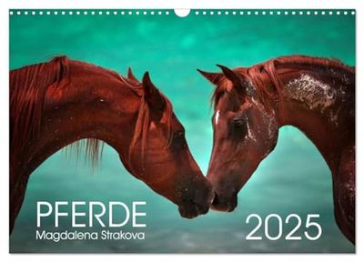 Pferde - Magdalena Strakova (Wandkalender 2025 DIN A3 quer), CALVENDO Monatskalender: Ein Kalender für jeden Pferdeliebhaber!