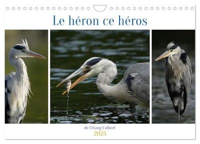 Le héron ce héros de l'étang Colbert (Calendrier mural 2025 DIN A4 vertical), CALVENDO calendrier mensuel: L'activité du héron cendré au bord d'un étang.