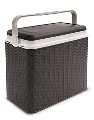 koelkast box 24l rotan moka