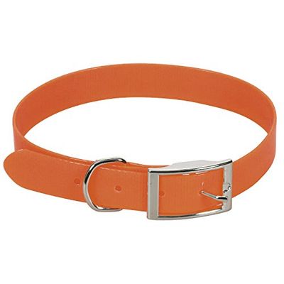 CHAPUIS SELLERIE SLA373 Reflecterende hondenhalsband - PVC-riem oranje - breedte 15 mm, lengte 35 cm, maat S