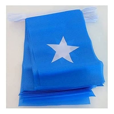 AZ FLAG - Guirlande Drapeau Somalie - 6 Mètres Avec 20 Fanions Somalien De 21x14 cm - Petits Drapeaux 100% Polyester - 60g