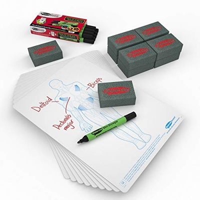 Show Me A4 Human Muscle Drywipe Boards 31-Piece Small Kit