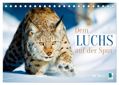 The Luchs auf der Spur (Desk Calendar 2026 DIN A5 Landscape), CALVENDO Monthly Calendar: Lynx: On the Stalking with Quiet Paws (CALVENDO Animals)