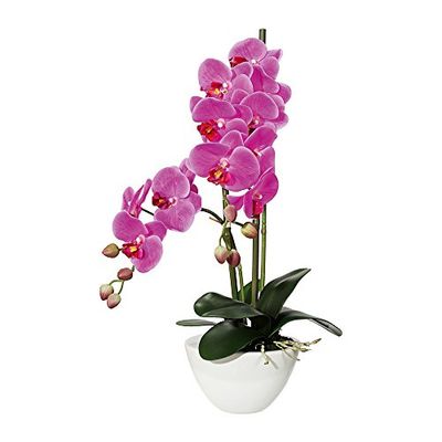 Gasper Kunstplant Phalenopsis in keramische schaal, kleur: paars, afmeting: 14,5 x 8,5 cm, 105055-80
