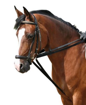 riemlussen, zwart pony