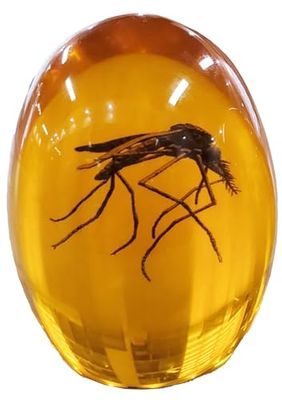 VEOJEIN Moustique Jurassique en Ambre | Insecte détaillé en résine Durable 2D Parfait pour Les collectionneurs et Les Amateurs | Presse-Papier, Effet Vieilli, décoration de Bureau
