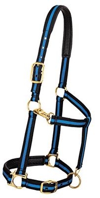Weaver Leather Gewatteerde verstelbare nylon paardenhalter, blauw, 1 inch groot paard