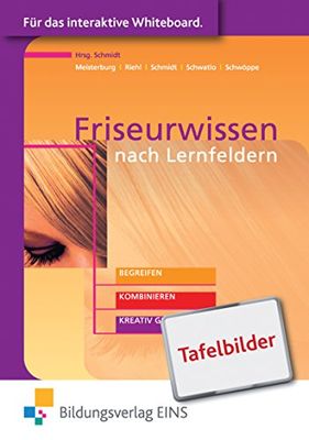 Friseurwissen nach Lernfeldern. Tafelbilder. Windows Vista; XP; NT; 2000; 98 [import allemand]