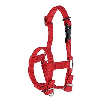 Kerbl Cavezza alpaca, tutti i tipi di alpaca, chiusura a clip, misura regolabile, rosso