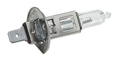 START Lampadina Alogena Jodio H1 12V 55W 1 Pz