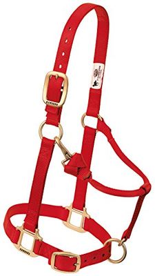 Weaver Leather Original ajustável nylon cavalo halter, vermelho, árabe/vermelho