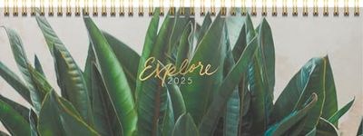 rido/idé Carnet de Rendez-Vous Horizontal modèle Young Line (2025) « Explore », 2 Pages = 1 Semaine, 297 × 105 mm, 128 Pages, Couverture Graphique, Multicolore