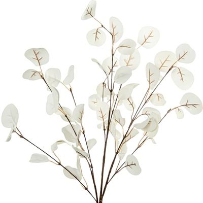 Rama, Hojas, kunstaas Blanca, Espa, EVA, kunststof Y Papel