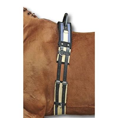 HKM 542120 Longierriem met handgreep, pony, donkerblauw/beige