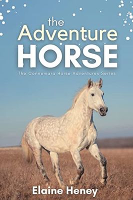 The Adventure Horse - Book 5 in the Connemara Horse Adventure Series for Kids | The Perfect Gift for Children age 8-12 (Connemara Adventures)