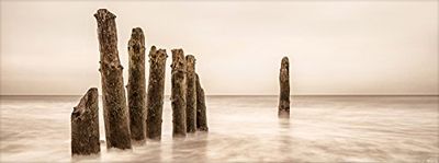 Pro-Art GLA1216C väggbild glaskonst "Alone", färgglad