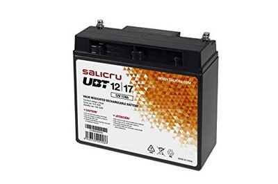 Salicru UBT 12/17 Batterie AGM Rechargeable 17 Ah / 12 V pour systèmes UPS (Sealed Lead Acid (VRLA), Noir, 17 Ah, 12 V, 1 pièce(s), 5 Ans)