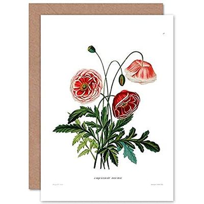 Wee Blue Coo Flower Poppy Coquelicot Double Greeting Card With Envelope Inside Premium Quality Fleur