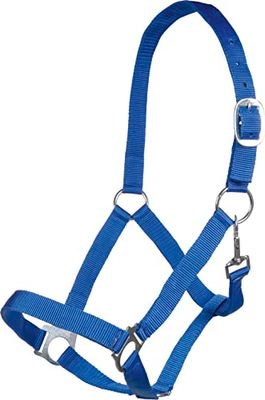 Posten Brisbane Licol bleu roi pour pur-sang