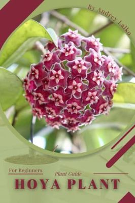 Hoya plant: Plant Guide