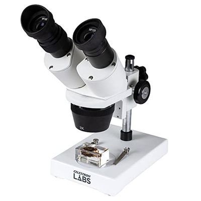 Celestron – Stereomikroskop – Celestron Labs S1030N – Ergonomisk binokulärenhet – 10x och 30x förstoring