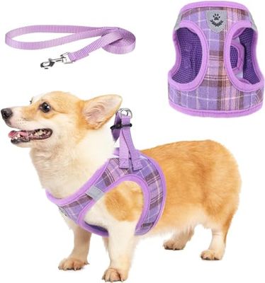 KOOLTAIL Geruite puppyharnas van zacht mesh - set met riem voor kleine honden, verstelbaar en comfortabel harnas met reflecterend ontwerp voor puppy's en kleine hondenrassen, voor buiten wandelen