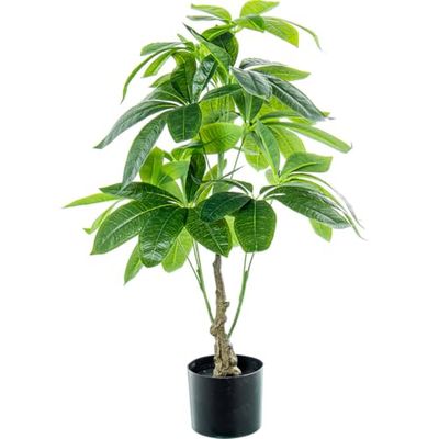 Alexandra House Living Plante décorative en Plastique Pachira aquatica 90 cm