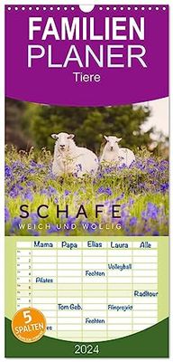 Familienplaner 2024 - Schafe - Weich und wollig mit 5 Spalten (Wandkalender, 21 cm x 45 cm) CALVENDO