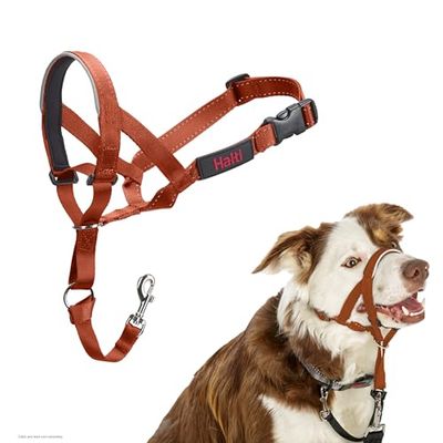 Licol HALTI - pour Que Votre Chien arrête de Tirer sur sa Laisse, Partie entièrement matelassée sur Le museau, Colliers Anti-Traction pour Chiens de Taille Moyenne (Taille 2, Orange Brûlé)