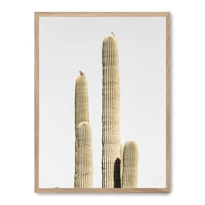 Cuadro cactus saguaro ii_FASE5