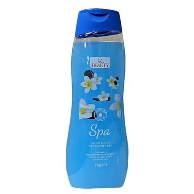 Q BEAUTY Gel 750 ml SPA