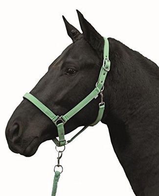 HKM 544130 Stars Licol Economy softice
