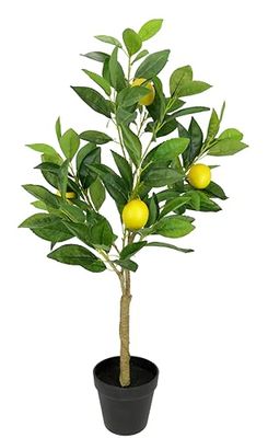 Citronnier en pot artificiel - Plante décorative - Arbre fruitier en pot - Plante d'agrumes - Branche de citron - Plantes artificielles - Plantes d'intérieur - Décoration pour salon, cuisine, bureau
