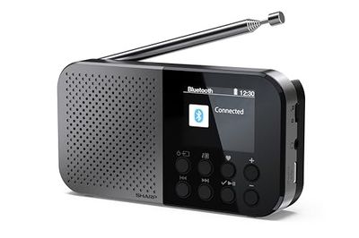 SHARP DR-P520(GY) Radio Digital Bolsillo Osaka, DAB+, DAB y FM con RDS, BT 5.3, Pantalla a color de 2", Alimentación USB-C o batería de litio integrada, Altavoz integrado, mini Jack, bloqueo de teclas