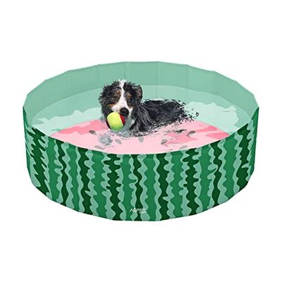 AQPET AqpetFriends - Piscina de plástico para Perros y Mascotas, Plegable, 120 x 30 cm, diseño de Frutas