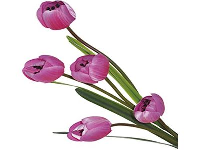 VEA SRL Steel M. Tulp 5 bloemen 17141