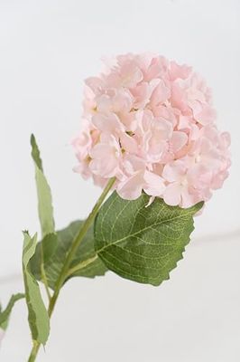 MACETA HORTENSIAS ROSAS