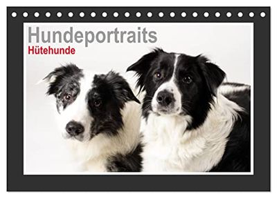 Hundeportraits - Hütehunde (Tischkalender 2025 DIN A5 quer), CALVENDO Monatskalender: Jahreskalender Hundeportraits Hütehunde